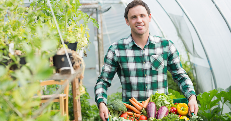 Теплица из поликарбоната